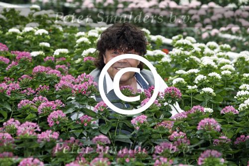 Rijsenhout 7 juli 2017
Dennie Christian voor promotie bloemen corso