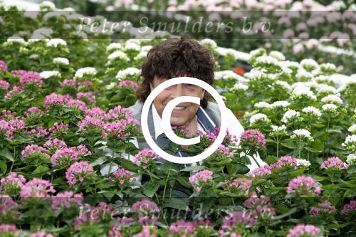 Rijsenhout 7 juli 2017
Dennie Christian voor promotie bloemen corso
