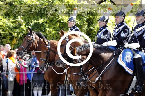 Den Haag, 19 September 2017
Prinsjesdag 2017
Koets in defile Prinsjesdag 2017