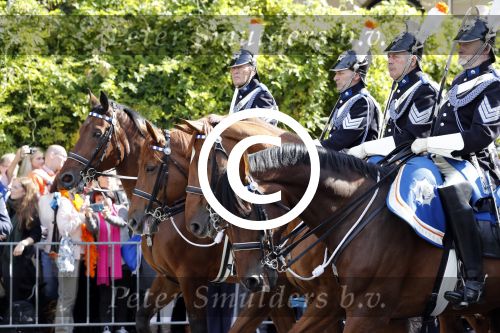 Den Haag, 19 September 2017
Prinsjesdag 2017
Koets in defile Prinsjesdag 2017