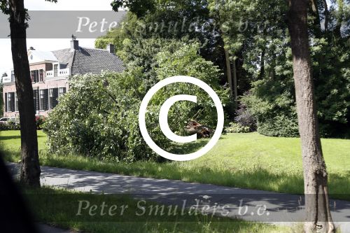 Maarssen 13 juli 2017
Huis Berend Boudewijn en Martine Bijl