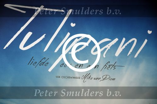 Utrecht 20 september 2017
Premiere Tulipani van Mike van Diem tijdens de filmdagen Utrecht.