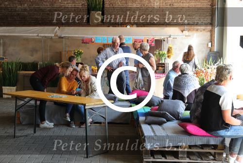 Toldijk, 3 September 2017 
Reunie Boer zoekt vrouw