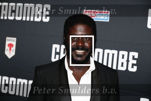 Amsterdam 3 september 2018
Premiere Catacombe in Tuschinski. Andre Dongelmans