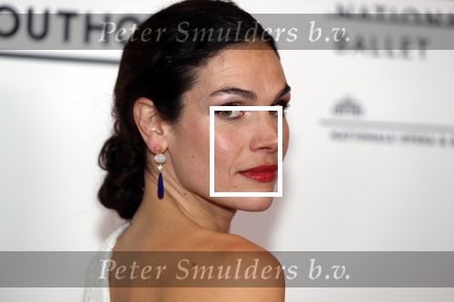 Amsterdam 8 september 2018
Premiere Nationaal Ballet in de stopera. Anna Drijver kwam met haar moeder
