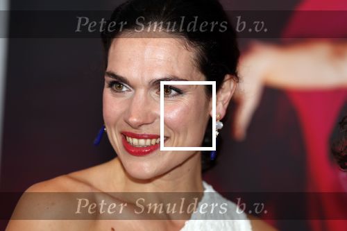 Amsterdam 8 september 2018
Premiere Nationaal Ballet in de stopera. Anna Drijver kwam met haar moeder