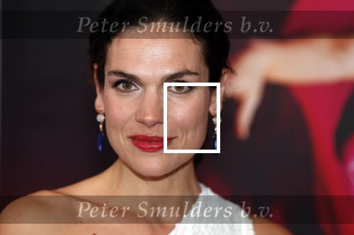 Amsterdam 8 september 2018
Premiere Nationaal Ballet in de stopera. Anna Drijver kwam met haar moeder