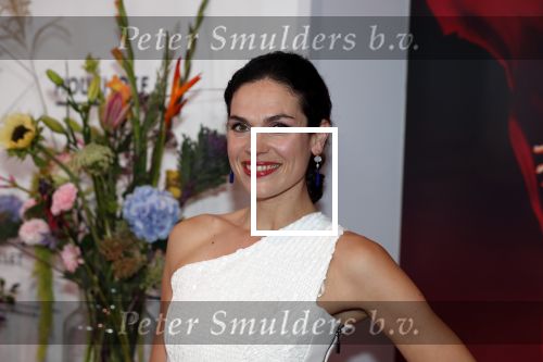 Amsterdam 8 september 2018
Premiere Nationaal Ballet in de stopera. Anna Drijver kwam met haar moeder