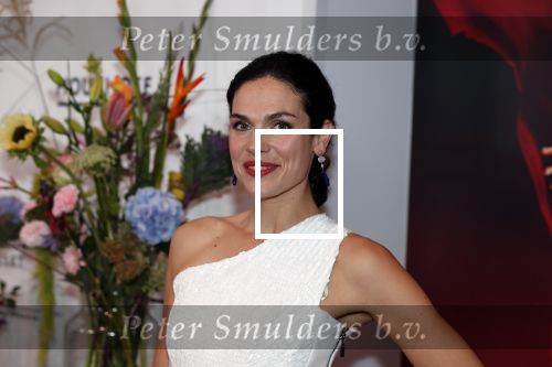 Amsterdam 8 september 2018
Premiere Nationaal Ballet in de stopera. Anna Drijver kwam met haar moeder
