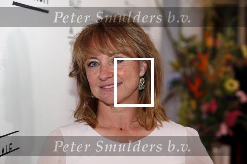 Amsterdam 8 september 2018
Premiere Nationaal Ballet in de stopera.
Bianca Krijgsman met dochter