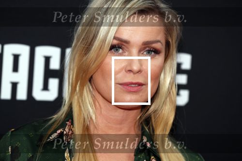 Amsterdam 3 september 2018
Premiere Catacombe in Tuschinski. Bridget Maasland