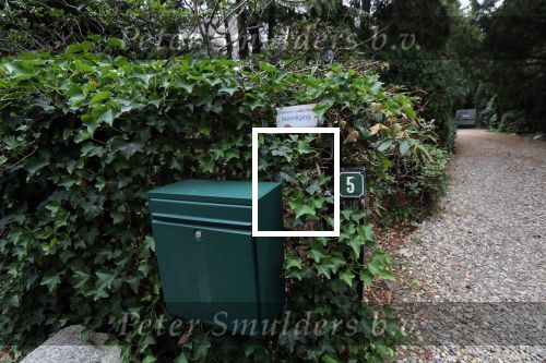 Huizen, 19 Augustus 2018 Nieuw huis voor Doutzen Kroes