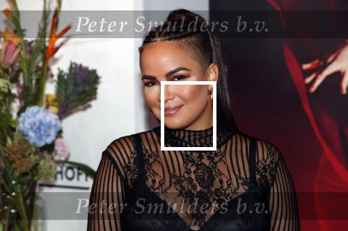 Amsterdam 8 september 2018
Premiere Nationaal Ballet in de stopera.
Eva Simons