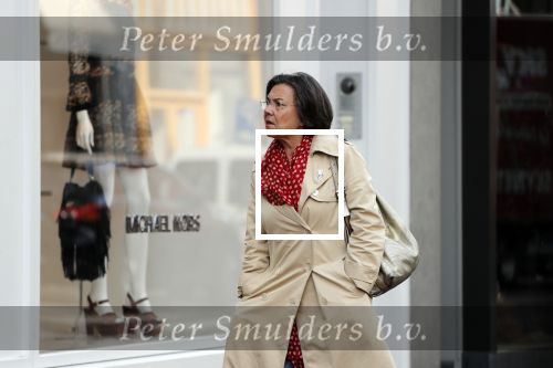 Amsterdam 3 september 2018
Gerdi Verbeet op de pc hooftstraat.