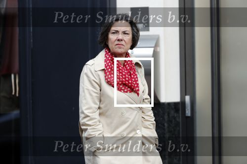 Amsterdam 3 september 2018
Gerdi Verbeet op de pc hooftstraat.