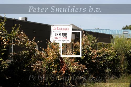 Loenen aan de Vecht 2 augustus 2018
Het pand van de Lucille werner foundation staat te huur.
