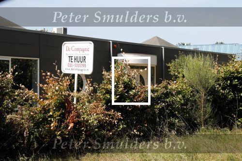 Loenen aan de Vecht 2 augustus 2018
Het pand van de Lucille werner foundation staat te huur.
