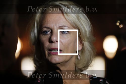 Amsterdam 4 september 2018
Premiere de inspirator in Tuschinki.
Mary-Lou v Steenis kwam met haar man en dochters