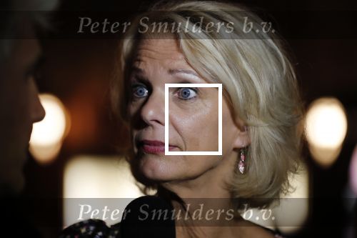 Amsterdam 4 september 2018
Premiere de inspirator in Tuschinki.
Mary-Lou v Steenis kwam met haar man en dochters