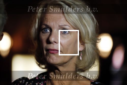 Amsterdam 4 september 2018
Premiere de inspirator in Tuschinki.
Mary-Lou v Steenis kwam met haar man en dochters