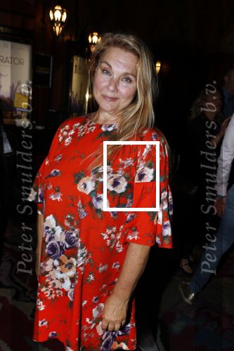 Amsterdam 4 september 2018
Premiere de inspirator in Tuschinki. Maya Vandenbroecke