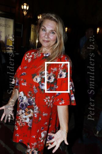 Amsterdam 4 september 2018
Premiere de inspirator in Tuschinki. Maya Vandenbroecke