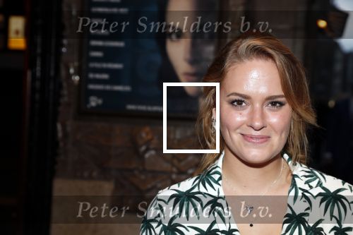 Amsterdam 4 september 2018
Premiere de inspirator in Tuschinki.