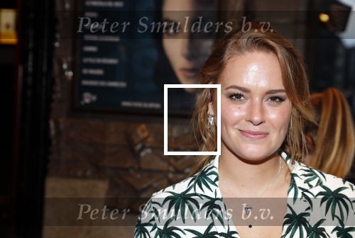 Amsterdam 4 september 2018
Premiere de inspirator in Tuschinki.