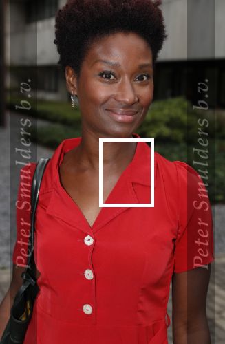 Hilversum 28 augustus 2018
Najaarspresentatie NPO op het mediapark.
Sylvana Simons