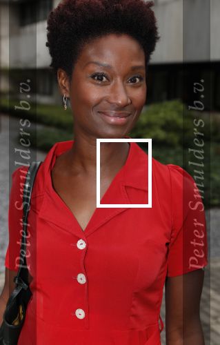 Hilversum 28 augustus 2018
Najaarspresentatie NPO op het mediapark.
Sylvana Simons