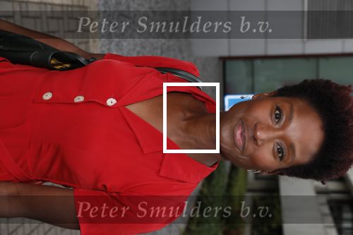 Hilversum 28 augustus 2018
Najaarspresentatie NPO op het mediapark.
Sylvana Simons