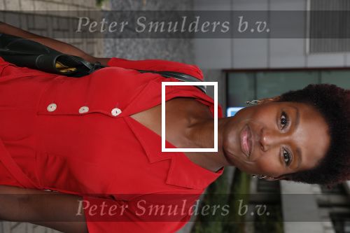 Hilversum 28 augustus 2018
Najaarspresentatie NPO op het mediapark.
Sylvana Simons