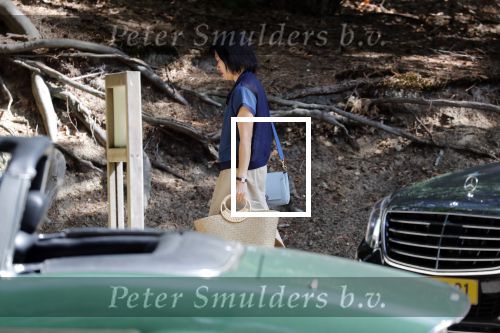 Ermelo 30 juli 2018
De Thaise prinses â€¦ viert vakantie in Nederland en slaapt met haar beveiliging in hotel de Roode Koper. Ze arriveerde met CD wagens.