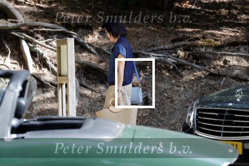 Ermelo 30 juli 2018
De Thaise prinses â€¦ viert vakantie in Nederland en slaapt met haar beveiliging in hotel de Roode Koper. Ze arriveerde met CD wagens.
