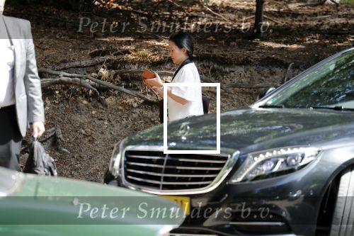 Ermelo 30 juli 2018
De Thaise prinses â€¦ viert vakantie in Nederland en slaapt met haar beveiliging in hotel de Roode Koper. Ze arriveerde met CD wagens.