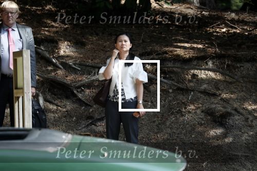 Ermelo 30 juli 2018
De Thaise prinses â€¦ viert vakantie in Nederland en slaapt met haar beveiliging in hotel de Roode Koper. Ze arriveerde met CD wagens.