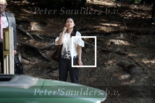 Ermelo 30 juli 2018
De Thaise prinses â€¦ viert vakantie in Nederland en slaapt met haar beveiliging in hotel de Roode Koper. Ze arriveerde met CD wagens.