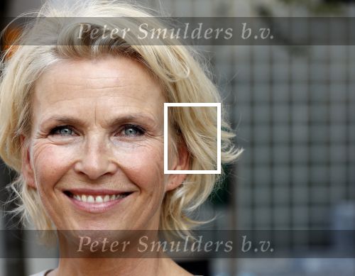 Hilversum 27 augustus 2019
Najaarspresentatie NPO op het mediapark. Anita Witzier