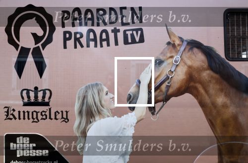 Ermelo 20 augustus 2019
Paardenwagen Britt Dekker