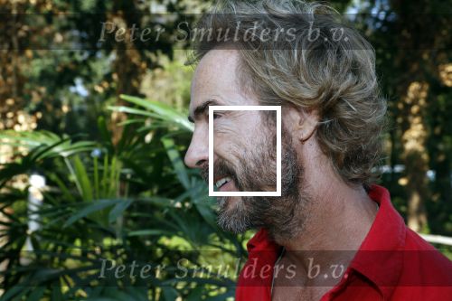 Hilversum 27 augustus 2019
Najaarspresentatie NPO op het mediapark. Chris Zeegers
