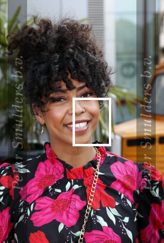 Hilversum 27 augustus 2019
Najaarspresentatie NPO op het mediapark. Fenna Ramos