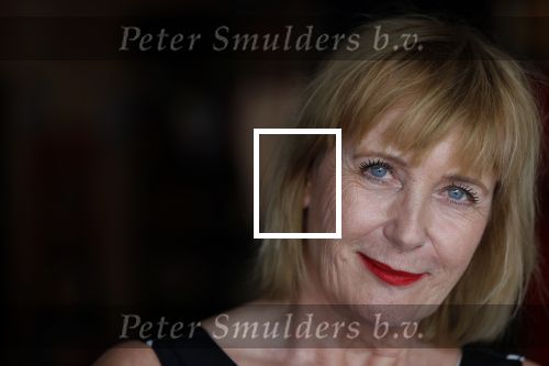 Amsterdam 21 augustus 2019
Boekpresentatie Inge Ipenburg. Tim Akkerman ontvangt het eerste exemplaar.