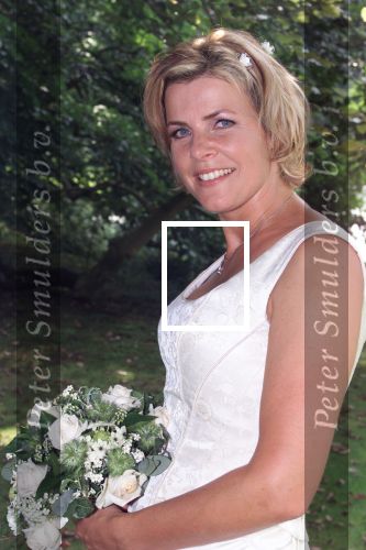 Brummen 26 augustus 2001
Irene Moors en Barry Kroon trouwen.