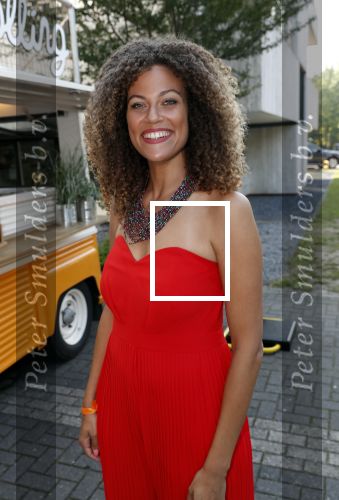 Hilversum 27 augustus 2019
Najaarspresentatie NPO op het mediapark. Lisette Wellens