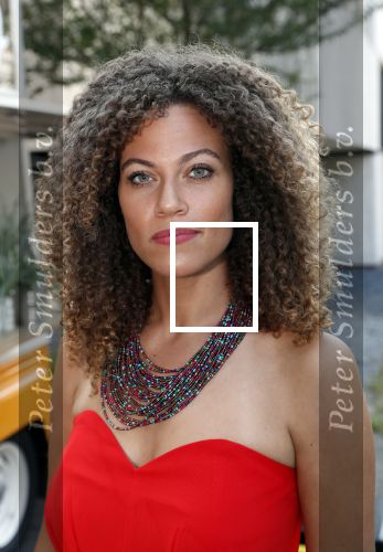 Hilversum 27 augustus 2019
Najaarspresentatie NPO op het mediapark. Lisette Wellens