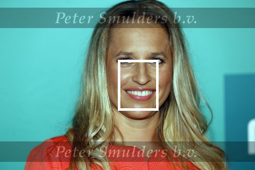 Halfweg 29 augustus 2019
Najaarspresentatie RTL bij sugarcity. Nicolien Kroon
