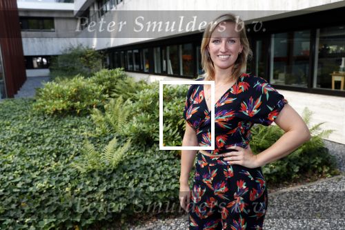 Hilversum 27 augustus 2019
Najaarspresentatie NPO op het mediapark.
Nikki Herr