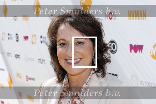 Hilversum 27 augustus 2019
Najaarspresentatie NPO op het mediapark. Shula Rijxman