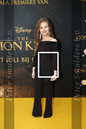 Amsterdam 15 juli 2019
Premiere the lion king in tuschinski.
Vajen v d Bosch