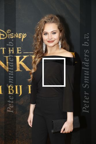 Amsterdam 15 juli 2019
Premiere the lion king in tuschinski.
Vajen v d Bosch